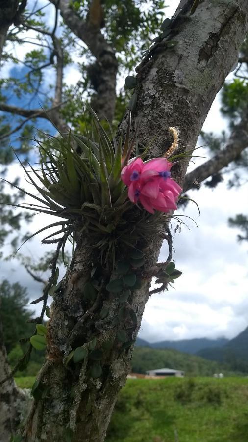 Hostel E Pousada Vale Mirante Da Rocha Timbe do Sul エクステリア 写真